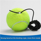 🔥 Hot Sale 50%🎾🏏Tennis Ball Training Baseboard